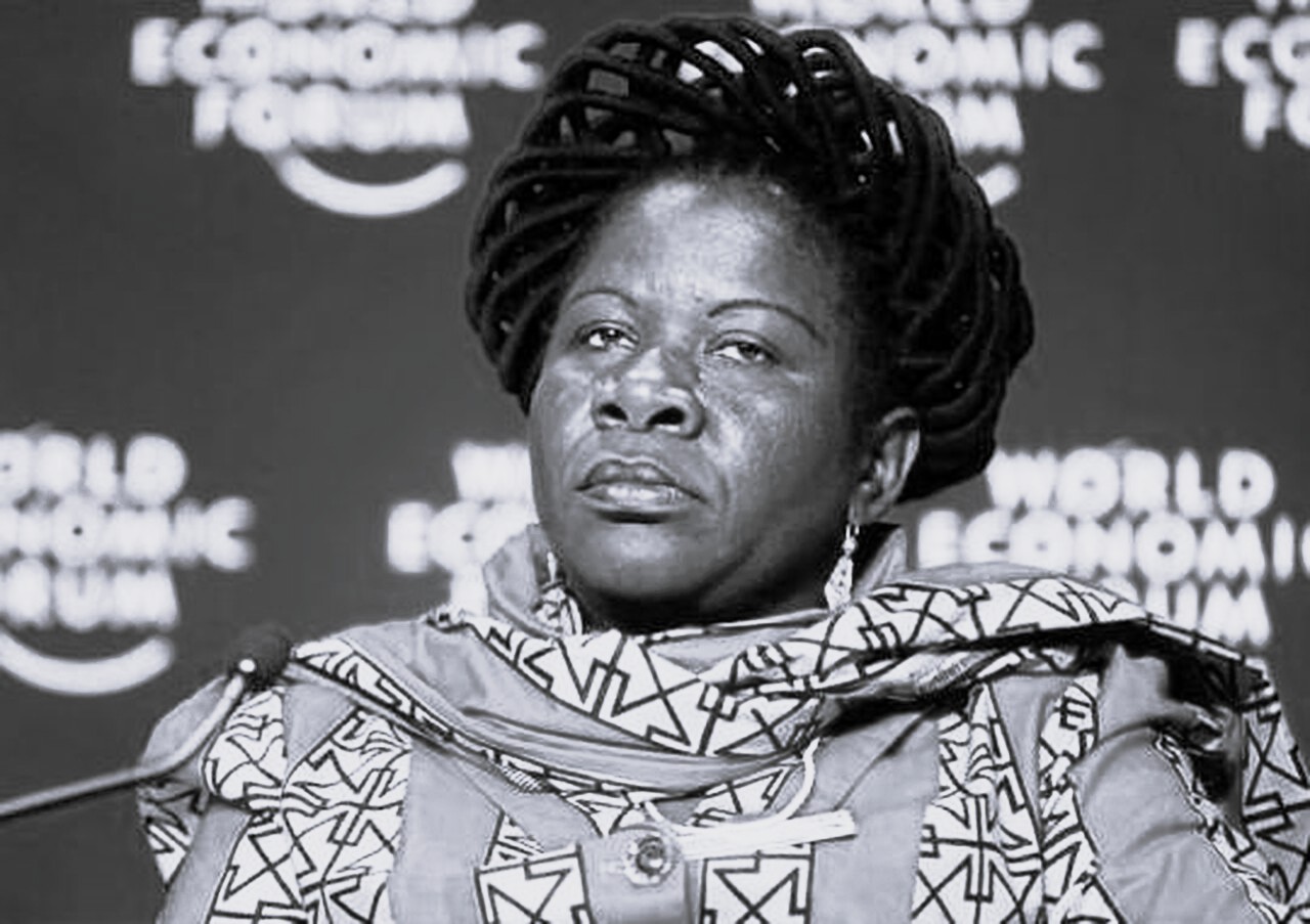 Luisa Diogo World Economic Forum Annual Meeting 2009.jpg