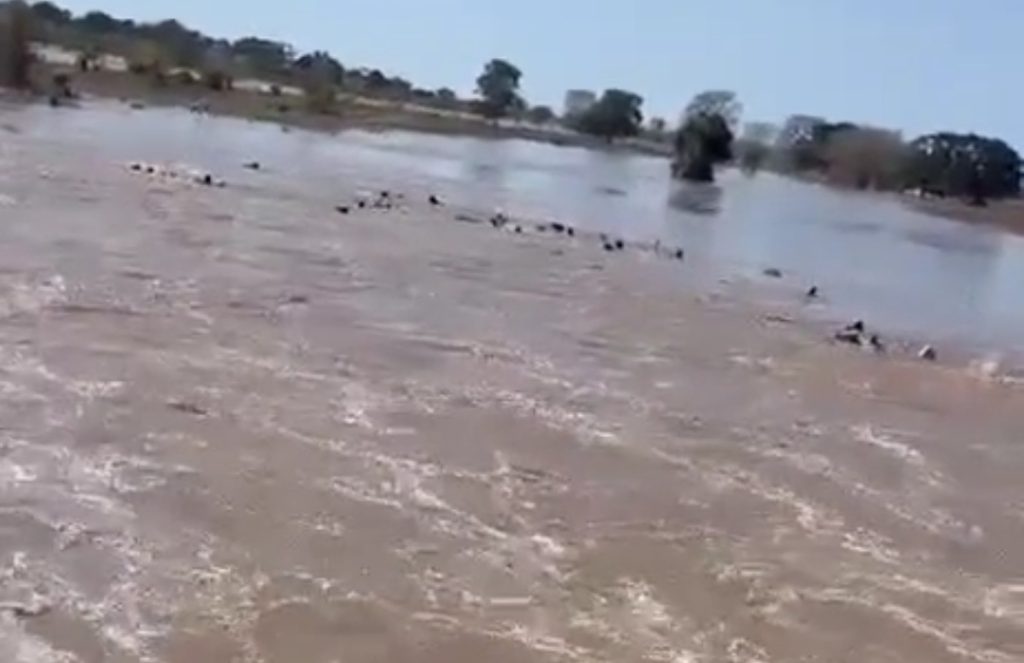 NAUFRAGIO 1024x663 1.jpg