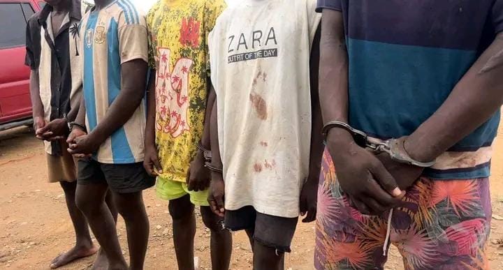 Quadrilha fingidor.jpeg