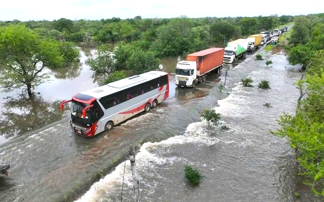 WhatsApp Image 2026 01 14 at 12.39.18.jpeg