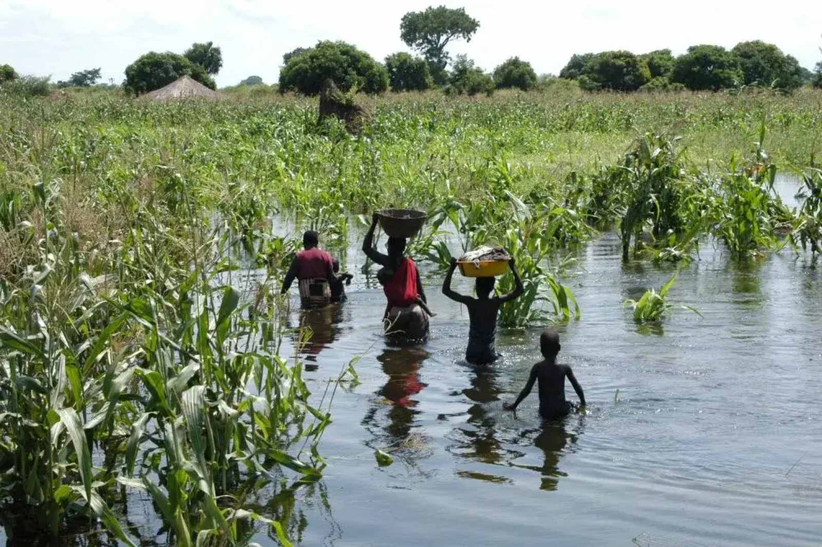 Inundacoes cheias.jpg