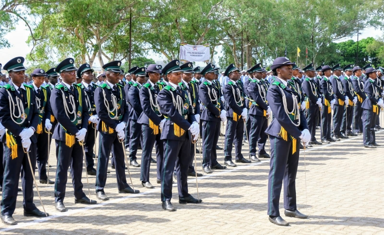 31c7d210 c98d 4c2b 909d 7338caecc108.jpg