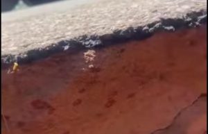 EN1 derrubado 300x193.jpeg