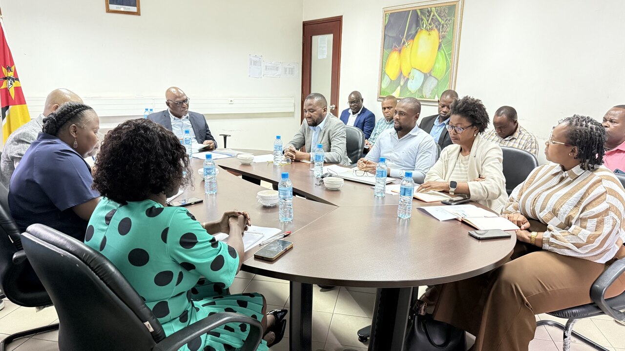 MAAP e banca discutem financiamento para o maneio integrado do cajueiro.jpg
