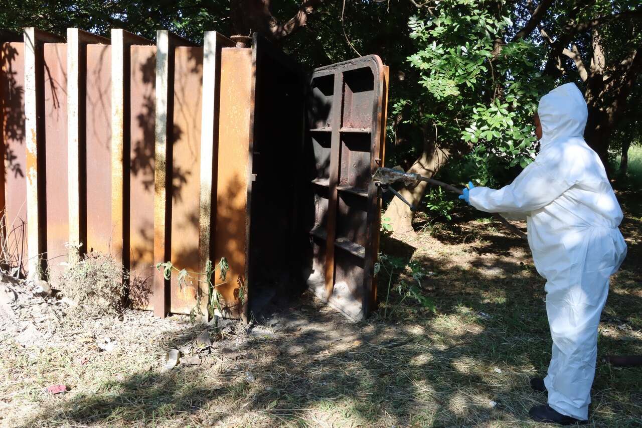 MAAP reforca fiscalizacao e apreende mais de 200 quilos de carne impropria no mercado do Zimpeto.jpg