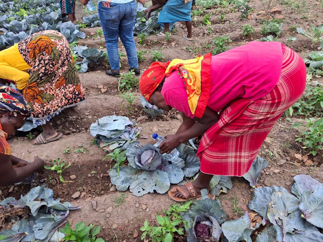 WhatsApp Image 2025 11 27 at 09.29.56.jpeg