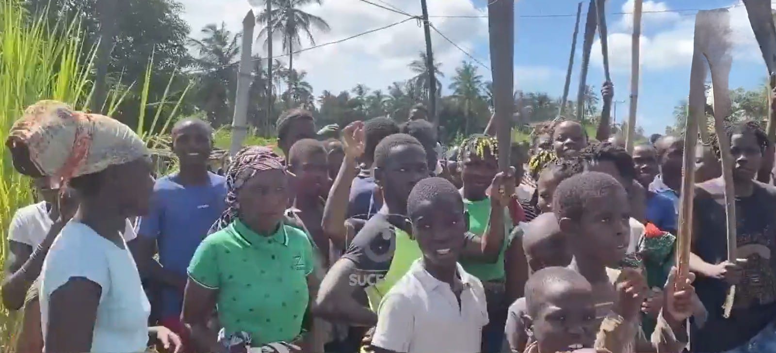 WhatsApp Image 2026 02 12 at 14.47.55.jpeg