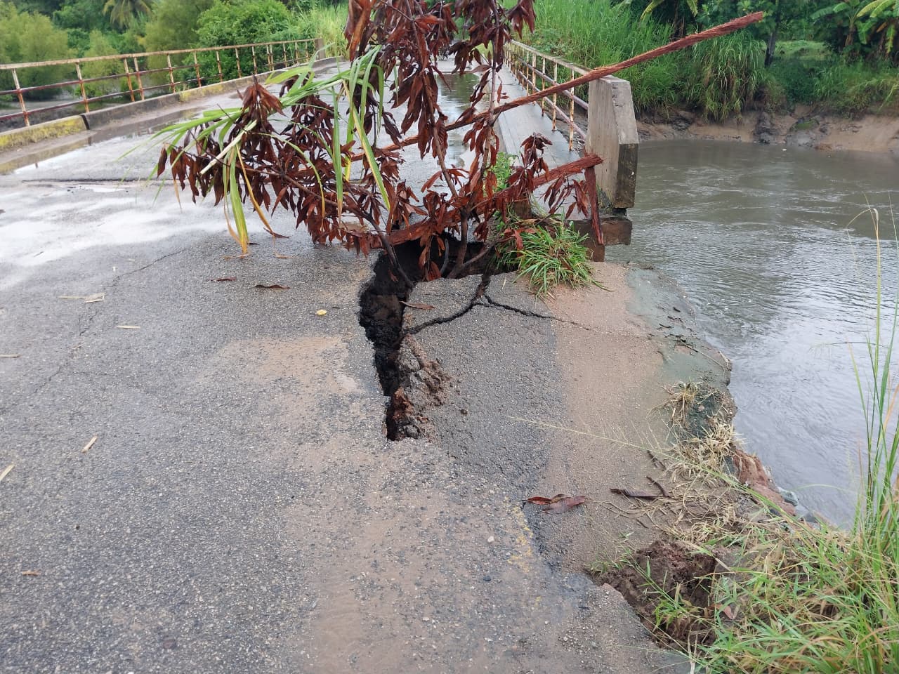 WhatsApp Image 2026 02 18 at 02.20.24.jpeg