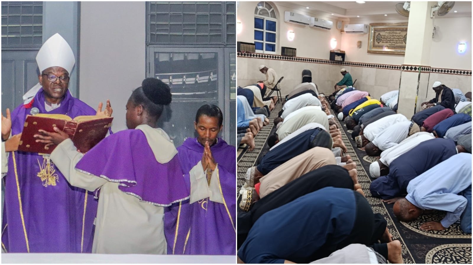 WhatsApp Image 2026 02 19 at 10.15.43.jpeg