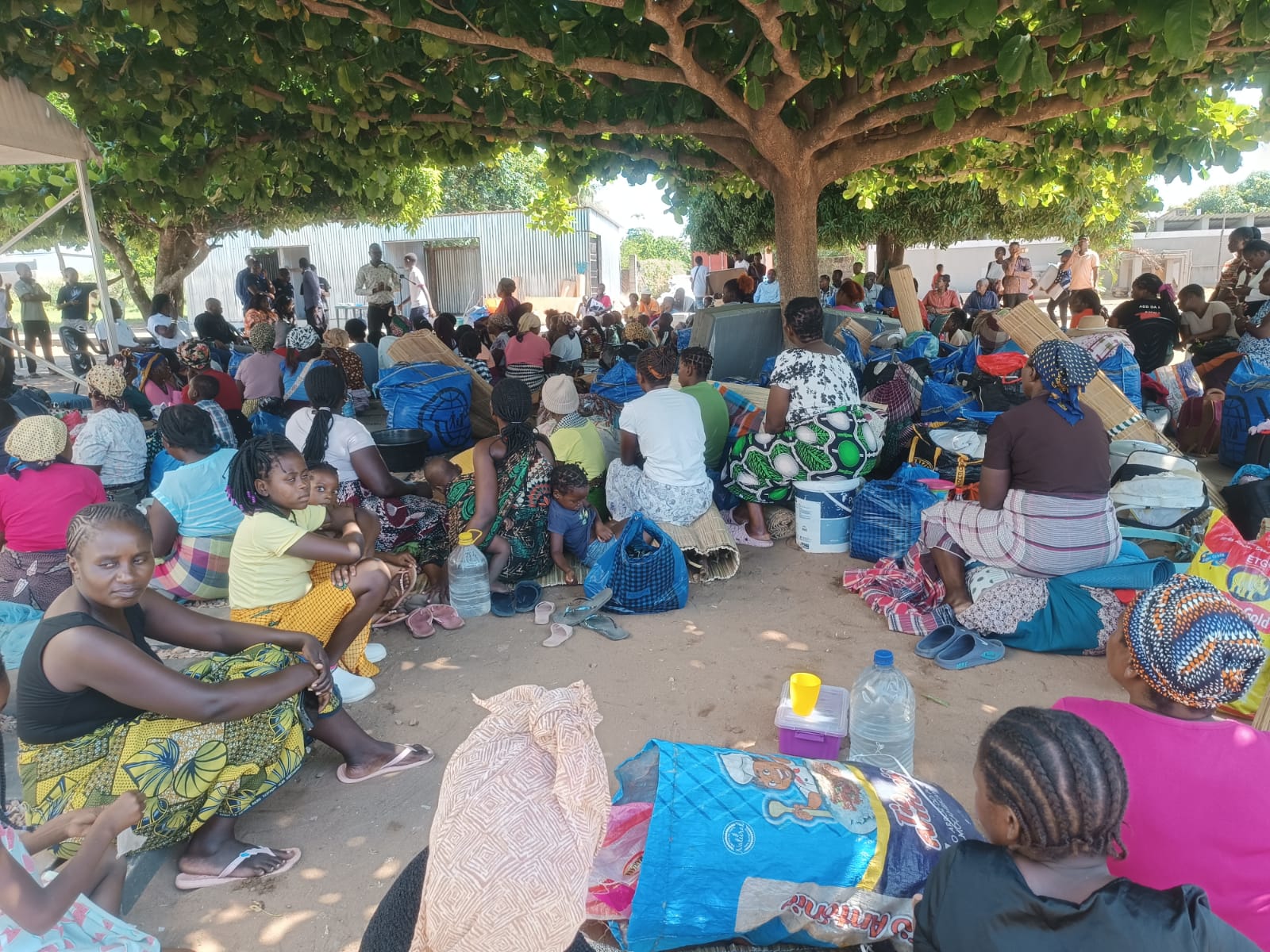 WhatsApp Image 2026 02 19 at 14.45.13.jpeg