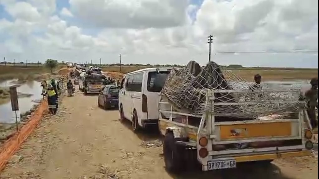 Cba2d96f 428e 47e8 a676 afdaf23c151a.jpeg