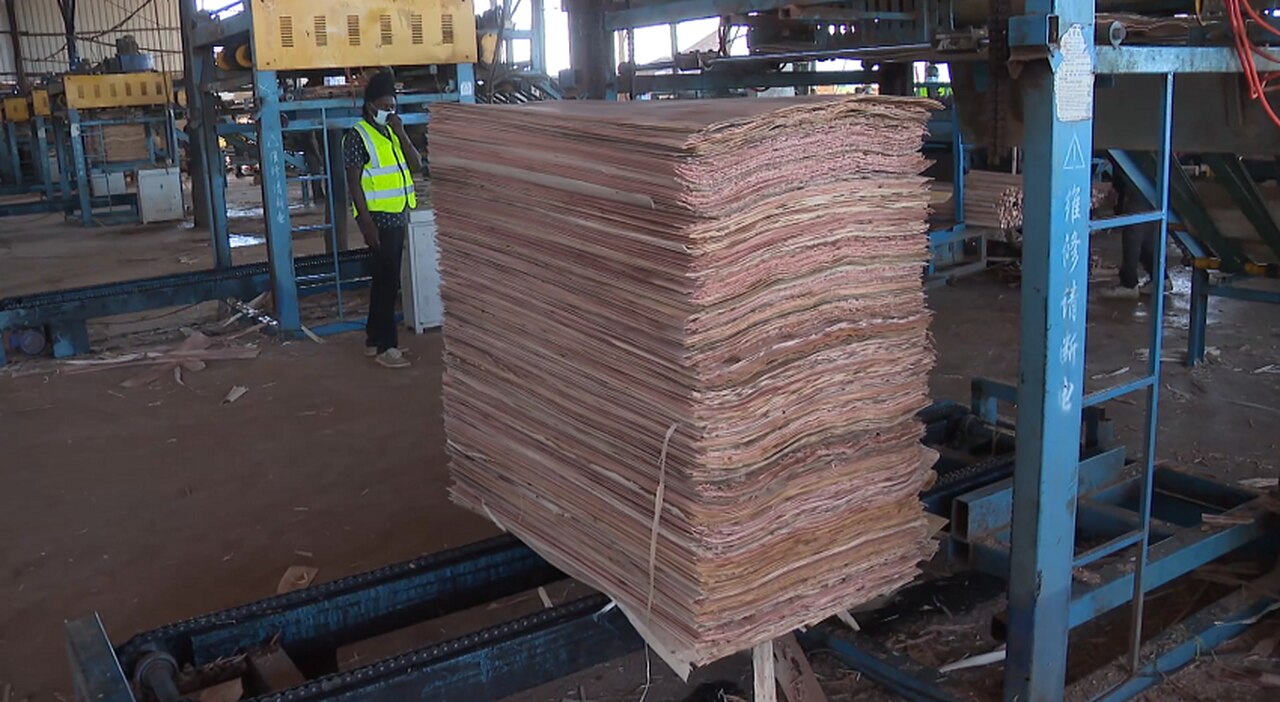 Producao de papel em vanduzi manica.jpg