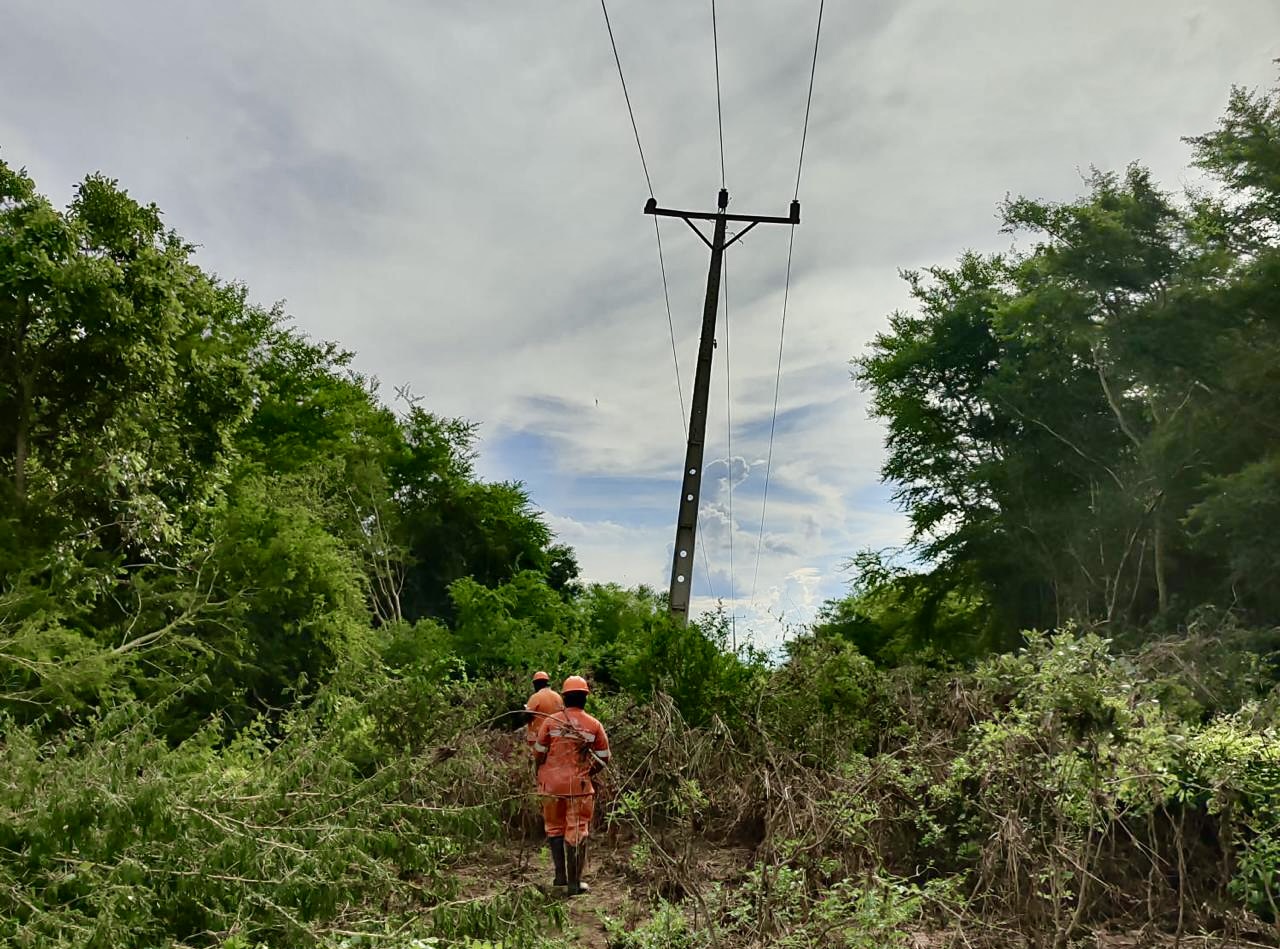 5bd4f03d 3c61 4e35 bef4 c3b27a310744.jpeg