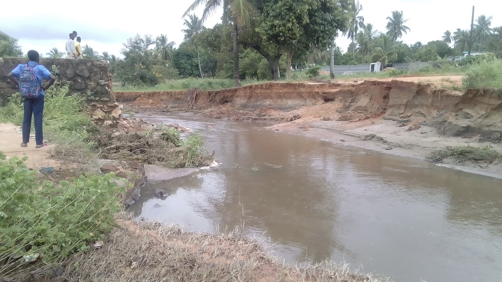 5e6e4f87 8f3d 4bc5 8fca 9a96ab2783dc.jpeg