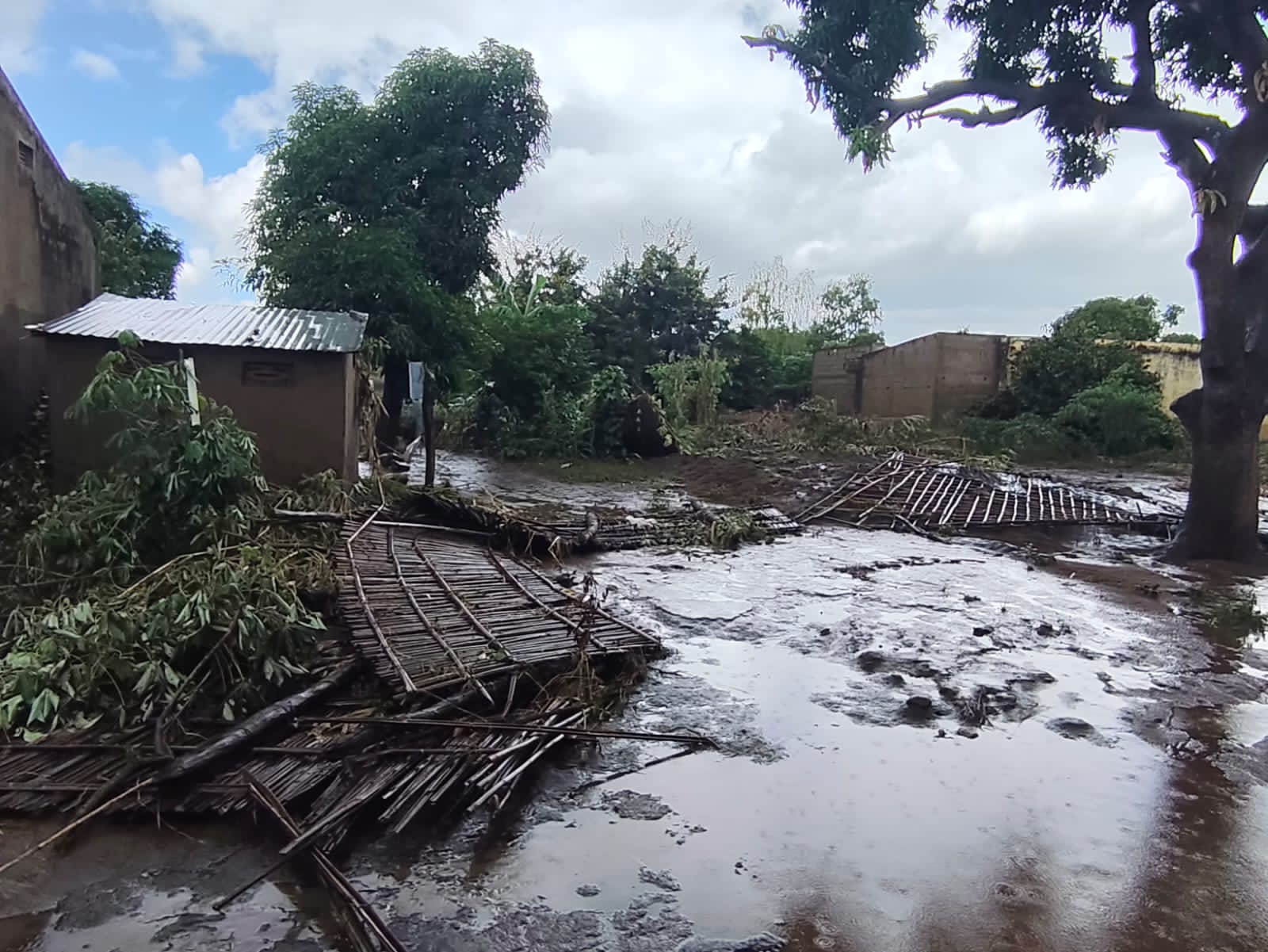 IMG 20260320 WA0096.jpg