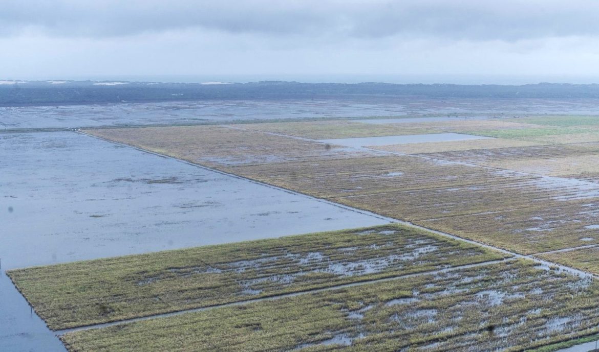 Maragra acucareira Easy Resize.com 1170x689 1.jpg