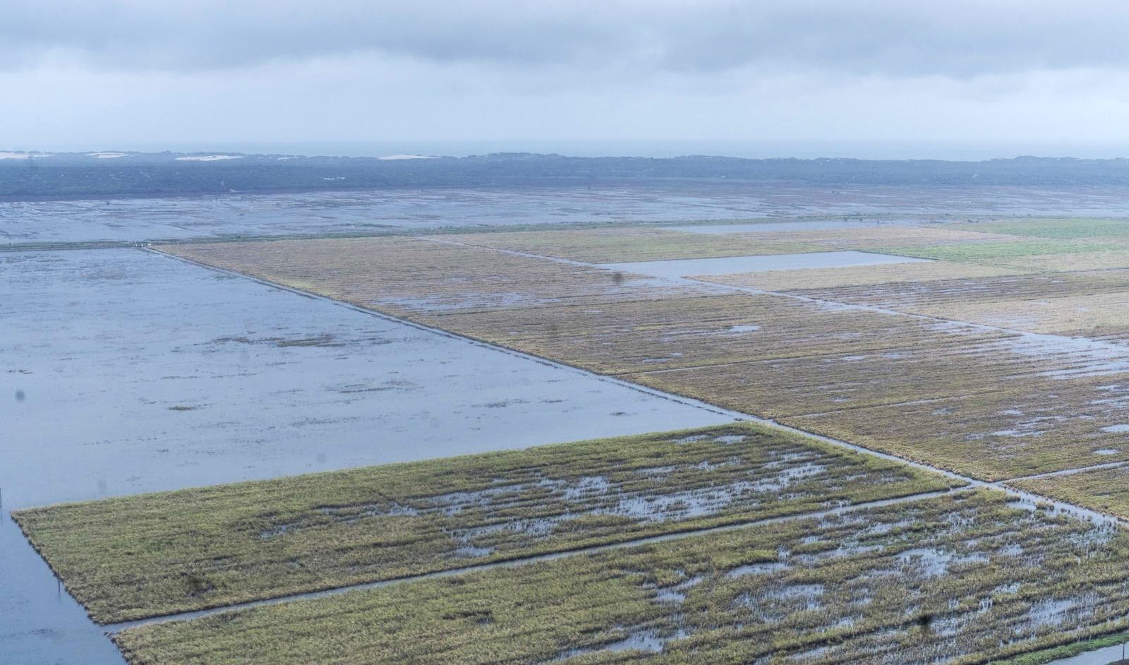 Maragra acucareira Easy Resize.com .jpg