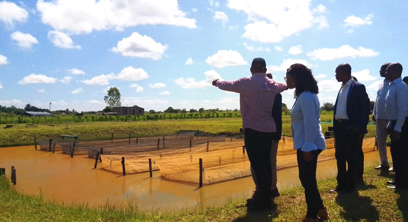 WhatsApp Image 2026 03 27 at 13.37.57.jpeg