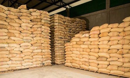 Arroz sacos no armazem.jpg