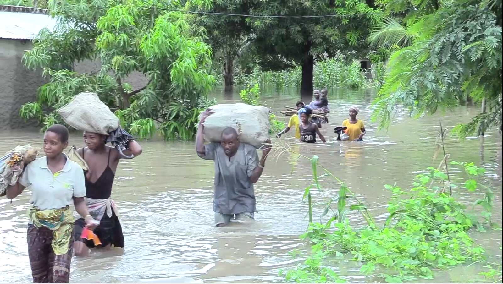 Chuvas agricultura inundacoes.jpg