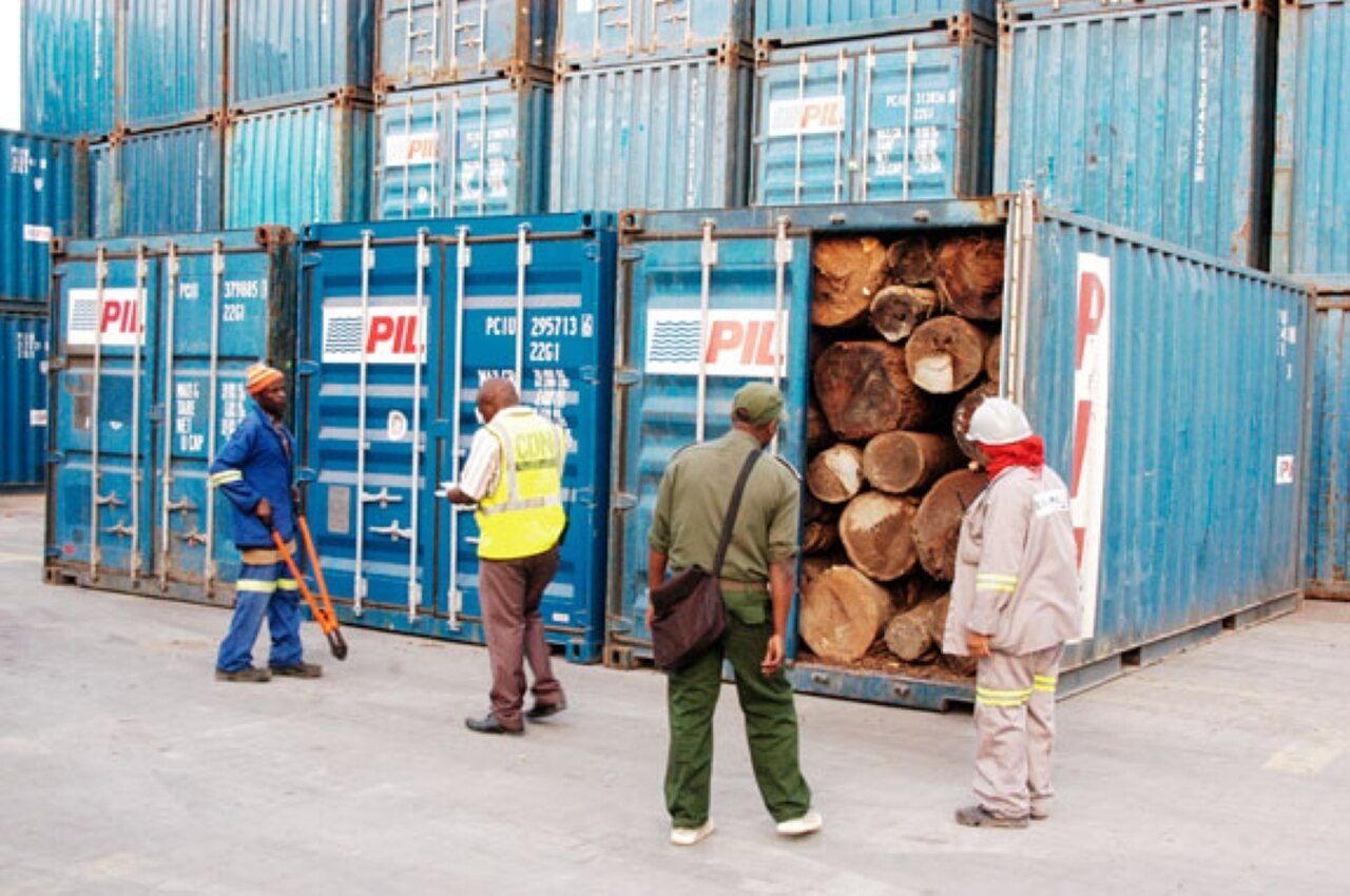 Contentores de madeira.jpg