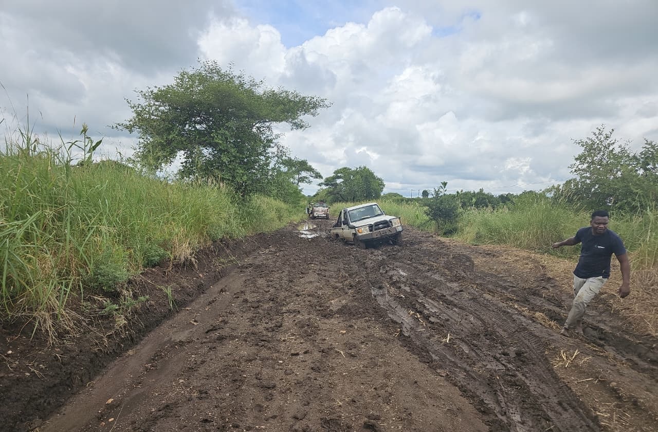 D59adaaf 03e7 48a4 a0bb 3d5e5ab1ecb2.jpeg