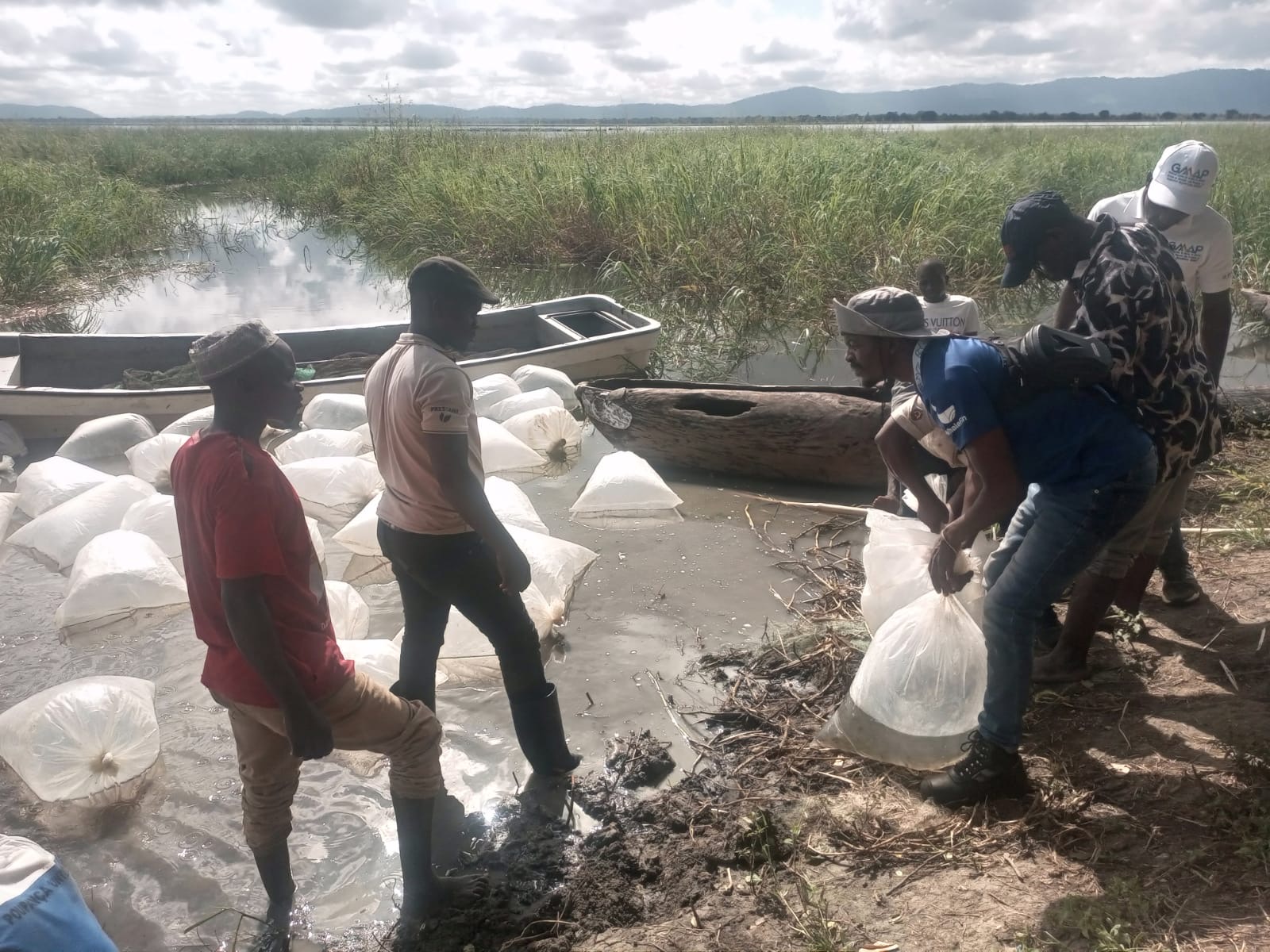 2a520d03 2d8c 48e0 af11 0491cc6bfc80.jpeg