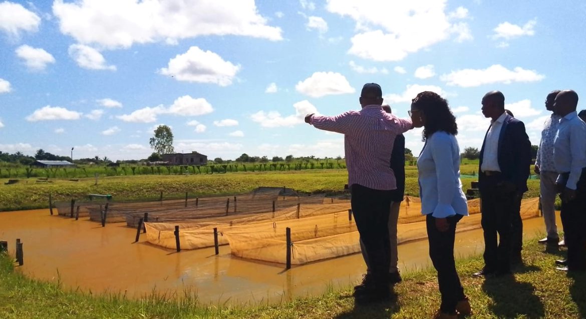 WhatsApp Image 2026 03 27 at 13.37.57 1170x637 1.jpeg