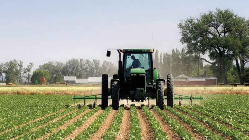Moçambique leva potencialidades agrícolas e minerais para fórum Índia – África