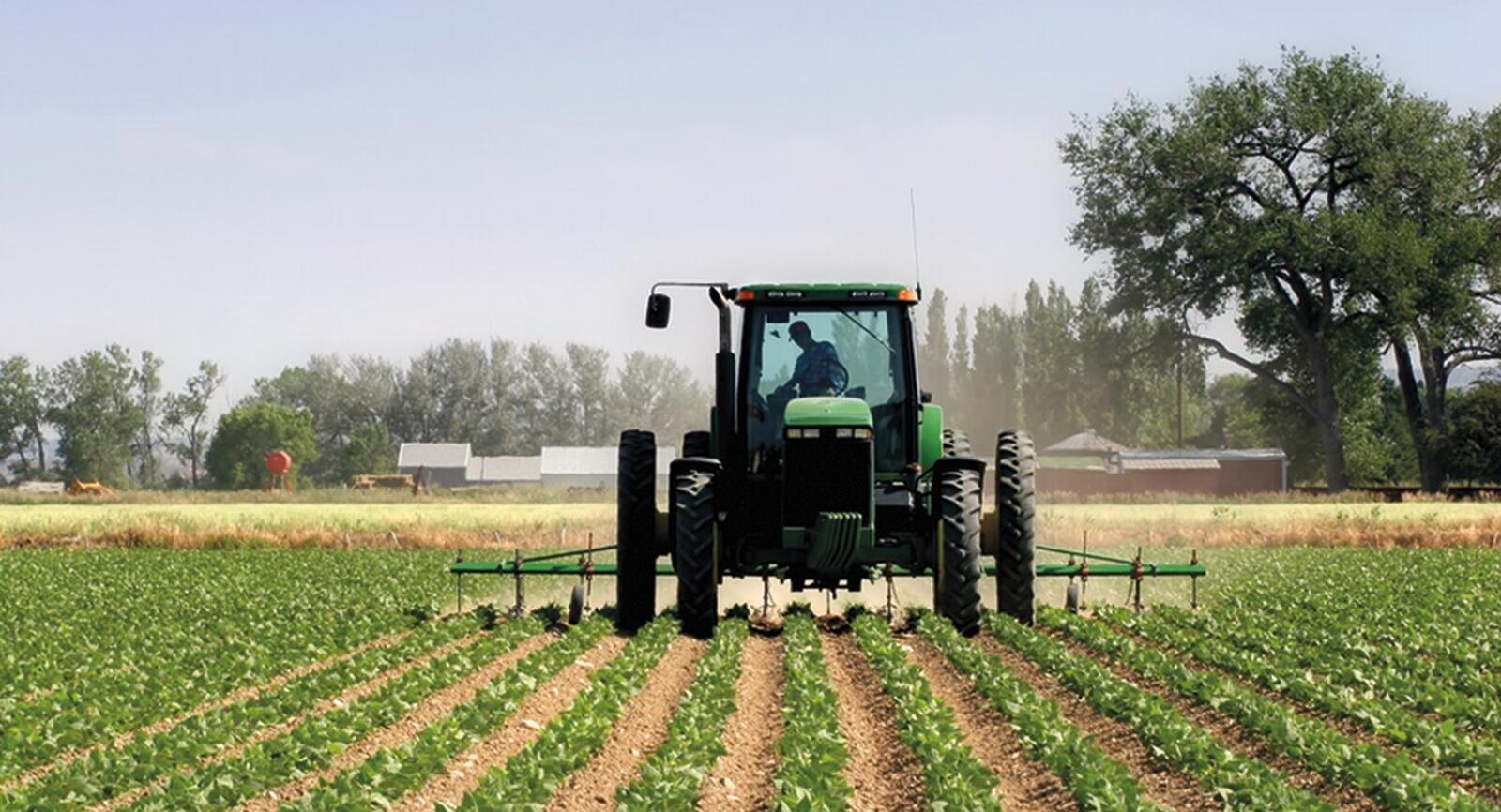Moçambique leva potencialidades agrícolas e minerais para fórum Índia – África