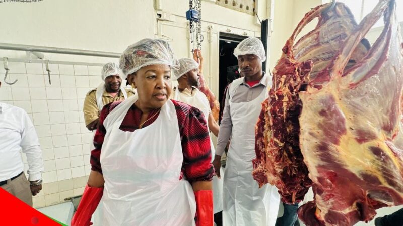 Chicualacuala reduz abate informal de gado