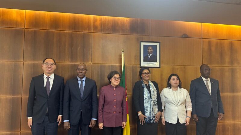 MF recebe em audiência a Vice- Presidente do Exim Bank da China