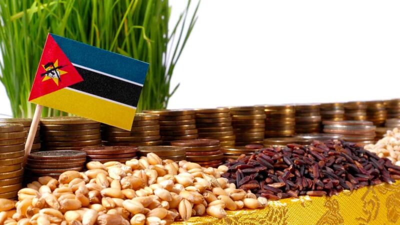 Moçambique prevê investimento de mil milhões de dólares para impulsionar o agro-negócio