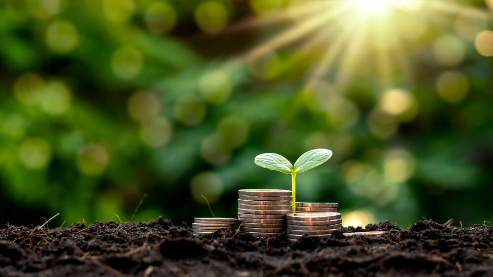 Moçambique defende acesso directo ao financiamento climático internacional
