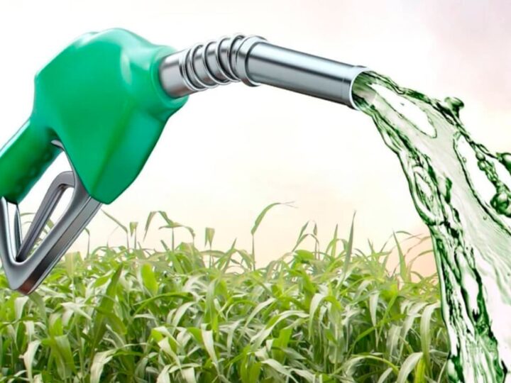 Governo apresenta quadro regulatório de biocombustível para iniciativas empresariais