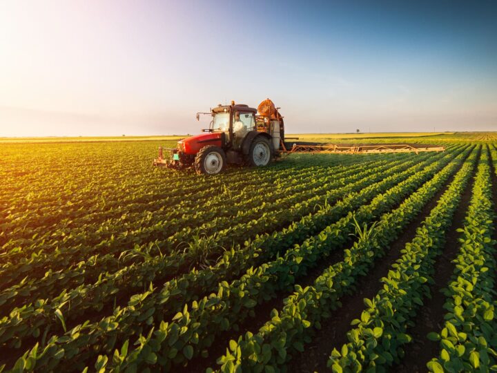 Governo italiano mobiliza 50 milhões de euros para impulsionar cadeia agro-alimentar em África