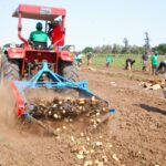 AGRICULTURA. arquivoSN 1.jpg